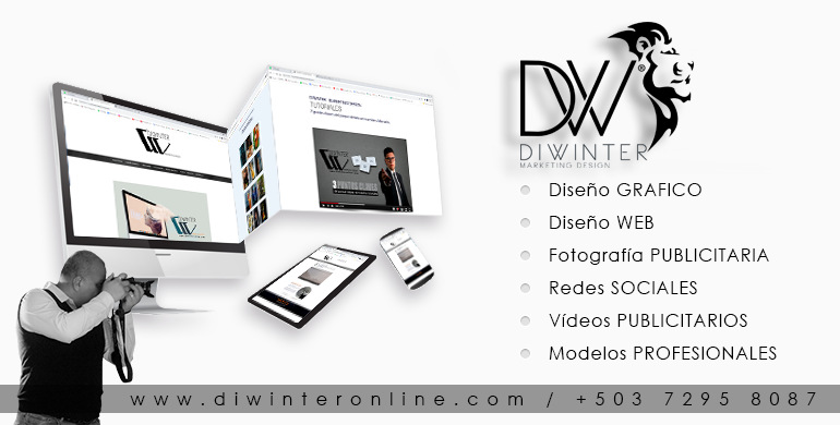 agencia de diseno grafico y web diwinter